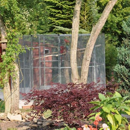 The Willows Bed & Breakfast 约克 外观 照片