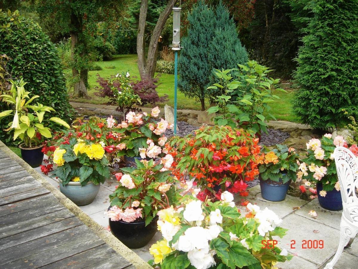 The Willows Bed & Breakfast 约克 外观 照片