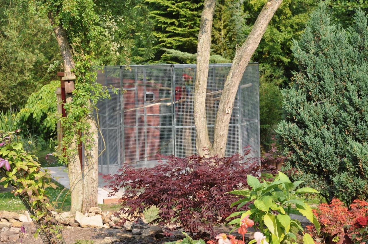 The Willows Bed & Breakfast 约克 外观 照片