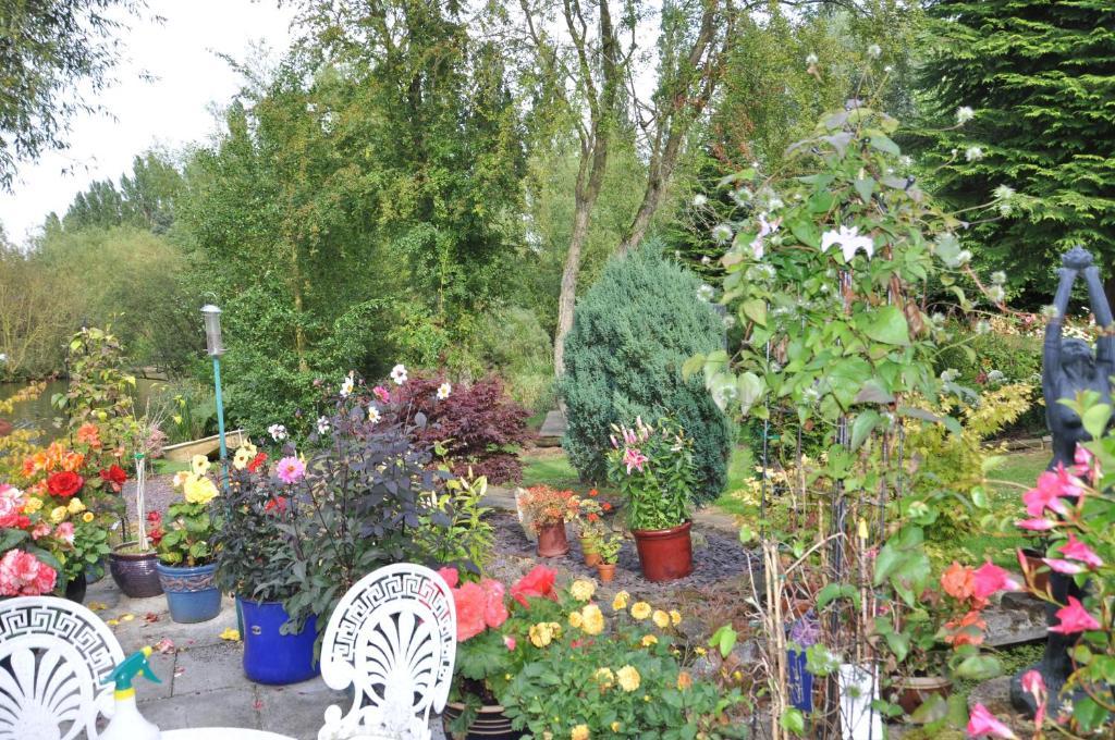 The Willows Bed & Breakfast 约克 外观 照片